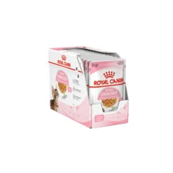 Royal Canin Kitten Sterilised Gelee - Beutel -Almo nature Verkäufe royal canin kitten sterilised in jelly kattenvoer 201959 0500 none