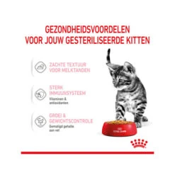 Royal Canin Kitten Sterilised Gelee - Beutel -Almo nature Verkäufe royal canin kitten sterilised in jelly maaltijdzakje 207209 0500 none