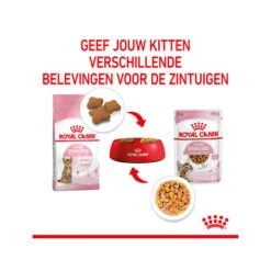Royal Canin Kitten Sterilised Gelee - Beutel -Almo nature Verkäufe royal canin kitten sterilised in jelly maaltijdzakje 207212 0500 none
