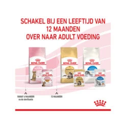 Royal Canin Kitten Sterilised Gelee - Beutel -Almo nature Verkäufe royal canin kitten sterilised in jelly maaltijdzakje 207221 0500 none