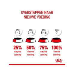 Royal Canin Kitten Sterilised Gelee - Beutel -Almo nature Verkäufe royal canin kitten sterilised in jelly maaltijdzakje 207224 0500 none