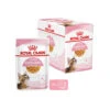 Royal Canin Kitten Sterilised Gelee - Beutel -Almo nature Verkäufe royal canin kitten sterilised in jelly maaltijdzakje 207230 0500 none