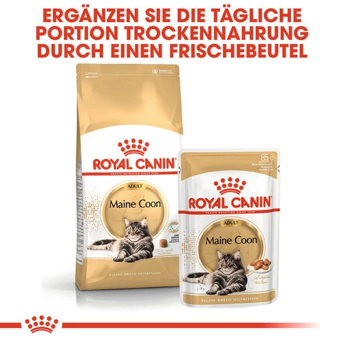 Royal Canin Maine Coon Adult Wet - Katzenfutter 7 Royal Canin Maine Coon Adult Wet - Katzenfutter – Bild 5