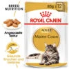 Royal Canin Maine Coon Adult Wet - Katzenfutter -Almo nature Verkäufe royal canin maine coon adult wet kattenvoer 126059 0500 none
