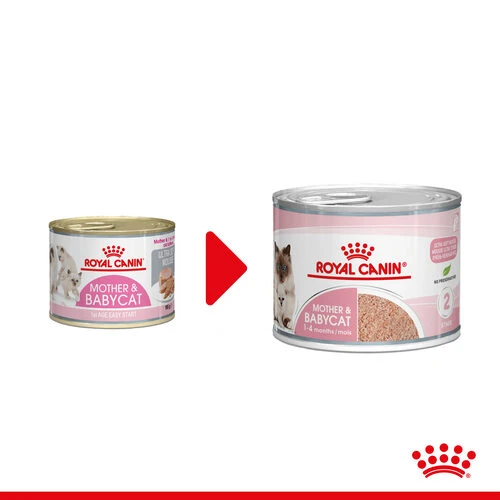 Royal Canin Mother & Babycat Ultra Soft Mousse - Katzenfutter 3 Royal Canin Mother & Babycat Ultra Soft Mousse - Katzenfutter