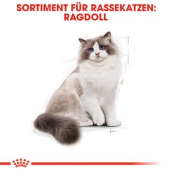 Royal Canin Ragdoll Adult - Katzenfutter -Almo nature Verkäufe royal canin ragdoll adult kattenvoer 125087 0500 none