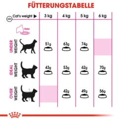 Royal Canin Savour Exigent - Katzenfutter -Almo nature Verkäufe royal canin savour exigent kattenvoer 127580 0500 none