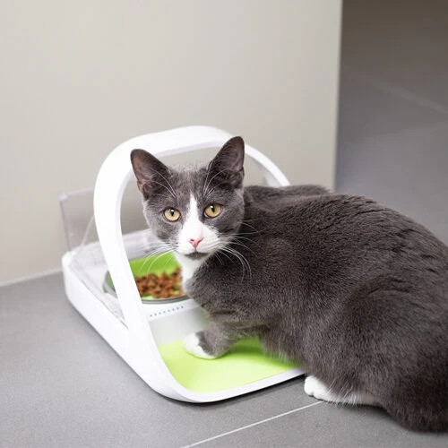 Surefeed Connect Mikrochip-Futterautomat 6 Surefeed Connect Mikrochip-Futterautomat – Bild 4