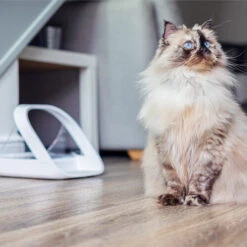 Surefeed Connect Mikrochip-Futterautomat 13 Surefeed Connect Mikrochip-Futterautomat -Almo nature Verkäufe surefeed microchip voerbak connect 221224 0500 none