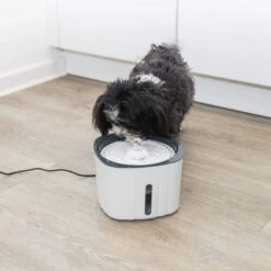 Trixie Trinkbrunnen Flower -Almo nature Verkäufe trixie drinkfontein bloem 205304 0500 none