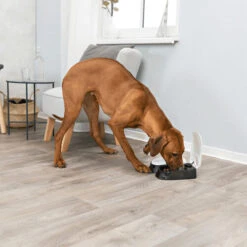 Trixie Doppel-Futterautomat TX2 7 Trixie Doppel-Futterautomat TX2 -Almo nature Verkäufe trixie dubbele voederautomaat tx2 170914 0500 none