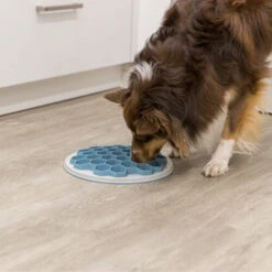 Trixie Slow Feeding Futterplatte Hive 9 Trixie Slow Feeding Futterplatte Hive -Almo nature Verkäufe trixie slow feeding voederbak bijenkorf 205454 0500 none