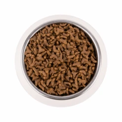 Vetality Gastrointestinal - Katzenfutter -Almo nature Verkäufe vetality gastrointestinal kattenvoer 217720 0500 none