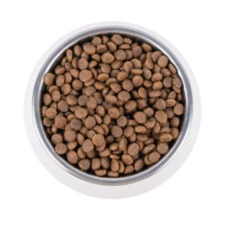 Vetality Renal - Katzenfutter 9 Vetality Renal - Katzenfutter -Almo nature Verkäufe vetality renal kattenvoer 195263 0500 none