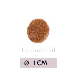 Vetality Renal - Katzenfutter 8 Vetality Renal - Katzenfutter -Almo nature Verkäufe vetality renal kattenvoer 195458 0500 none