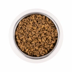 Vetality Skin Support - Katzenfutter -Almo nature Verkäufe vetality skin support kattenvoer 217722 0500 none