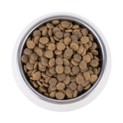 Vetality Urinary - Katzenfutter -Almo nature Verkäufe vetality urinary kattenvoer 195269 0500 none