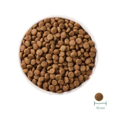 Yarrah Bio-Katzenfutter Grain-Free Für Sterilisierte Katzen -Almo nature Verkäufe yarrah droogvoer gesteriliseerde kat graanvrij bio 201167 0500 none
