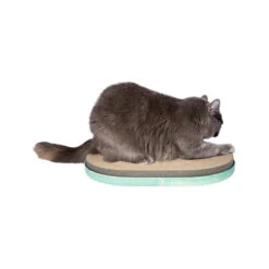 Zee.dog Scratcher -Almo nature Verkäufe zeedog scratcher 201866 0500 none